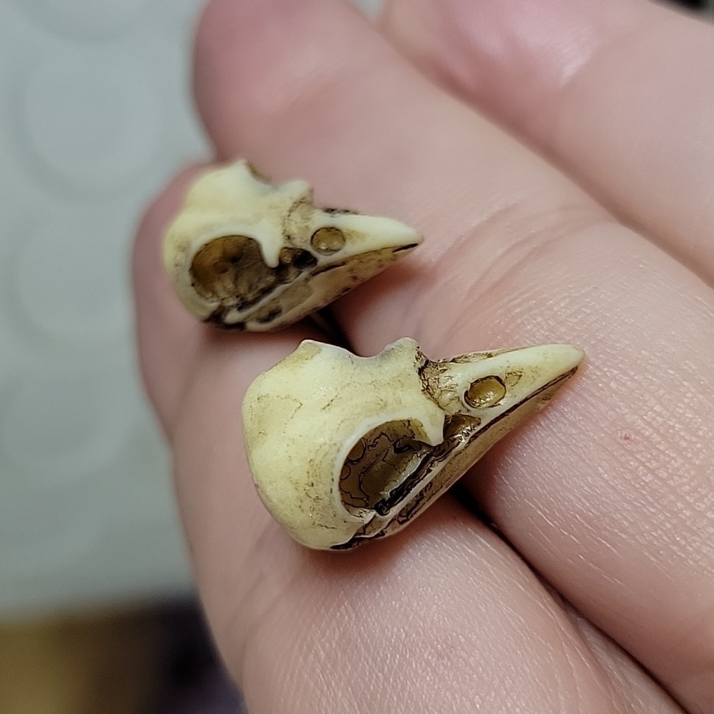 🔥LAST PAIR🔥 Realistic Poe Macabre Bird Skull Stud Earrings